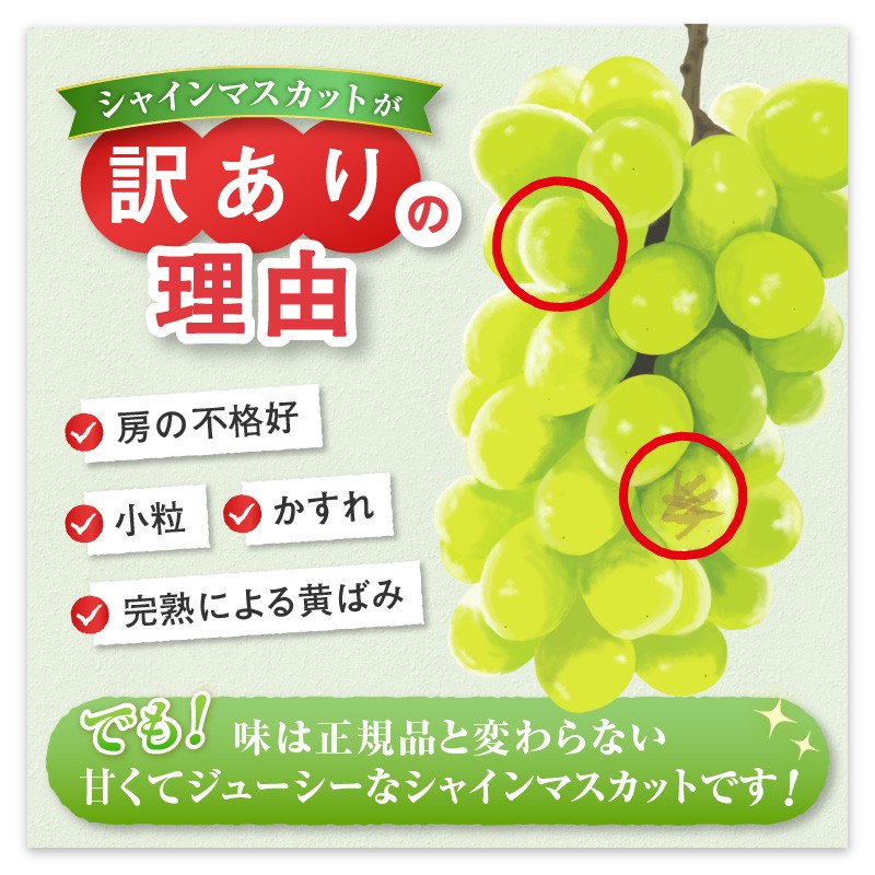 訳あり シャインマスカット 1.0kg以上 2房【2026年発送】（YKI）A06-990 【シャインマスカット ぶどう ブドウ 葡萄 令和8年発送 期間限定 山梨県産 甲州市 フルーツ 果物】