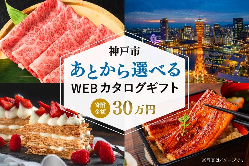 あとから選べるWEBカタログギフト（寄附30万円コース）90000ポイント神戸市