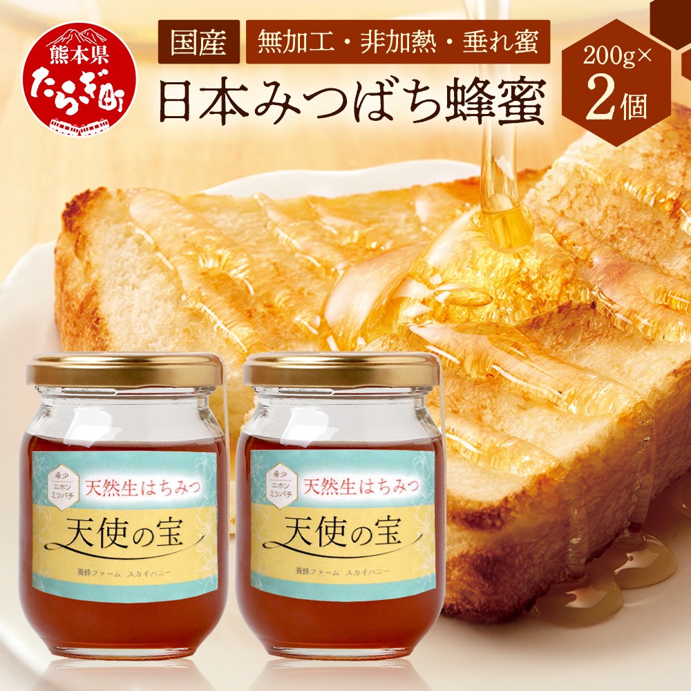 日本みつばち 蜂蜜「天使の宝」2個 セット 【 希少 ニホンミツバチ 100％ はちみつ 高純度 高濃度 垂れ蜜 ハチミツ ジャム 無添加 】094-0003