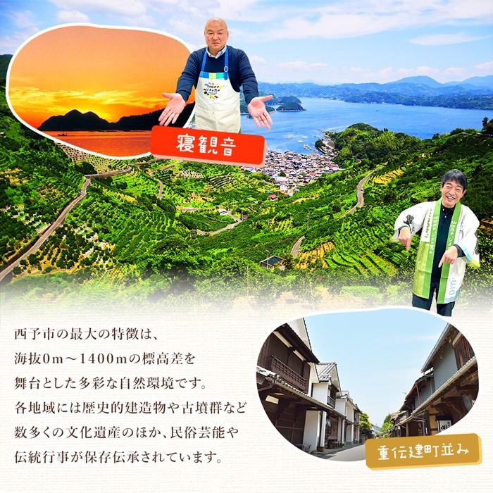 ＜野菜とカルシウムとタンパク質がとれる青汁 1箱（6.4g×30本入）＞ ケール 粉末 スティック 溶けやすい 濃縮 豆乳 健康 化学農薬不使用 青汁 ファンケル FANCL グリーンヒル 愛媛県 西予市【常温】