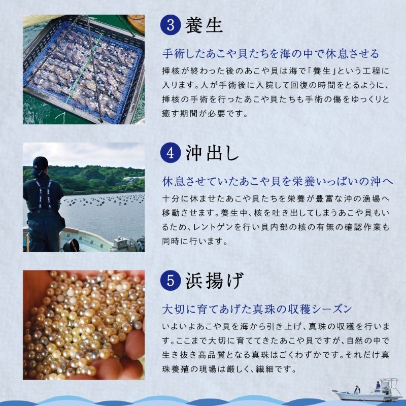 S101-356_真珠科学研究所 オーロラ花珠 鑑別書付 9mm - 9.5mm あこや真珠 イヤリング ホワイトピンク 【D：シリコン大 K14WG（ホワイトゴールド）※ブラ】