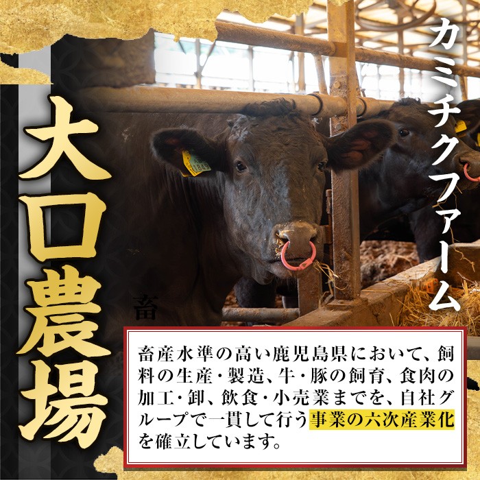 isa690 鹿児島県(カミチクファーム 大口農場)産 黒毛和牛カルビ焼肉(計400g・200g×2パック) 黒毛和牛 カルビ 焼肉 和牛 国産牛 高級肉 A5 ランク 雌牛 霜降り 旨味 口どけ 牛肉 焼肉用 BBQ バーベキュー アウトドア 冷凍 小分け 【お肉の直売所 伊佐店】