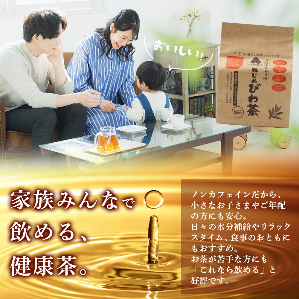 鹿児島県産 ねじめびわ茶 ティーバック 120包 スティックゼリー30本入 セット ノンカフェイン E7516 | 国産 お茶 健康茶 ポリフェノール 無香料 無着色 さわやか 甘み 香ばしい おいしい びわの葉 トルマリン石焙煎 産地直送 鹿児島県 南大隅町 十津川農場