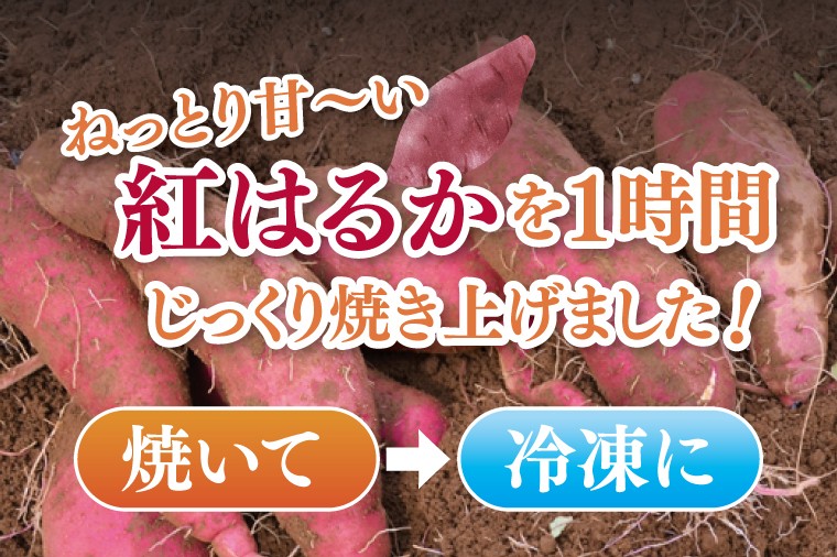 04-09 茨城県阿見町産 冷凍焼き芋（紅はるか） 紅せれぶ 1.5kg×1【やきいも 焼き芋 焼芋 芋 冷凍 冷凍焼き芋 冷凍焼芋 冷凍食品 さつまいも 紅はるか スイーツ 阿見町 茨城県】