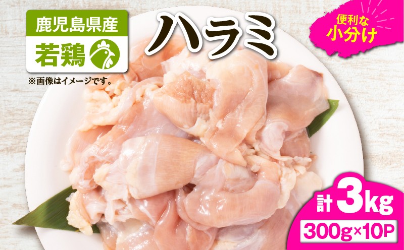 鹿児島県産若鶏ハラミ 3kgセット KN105-017