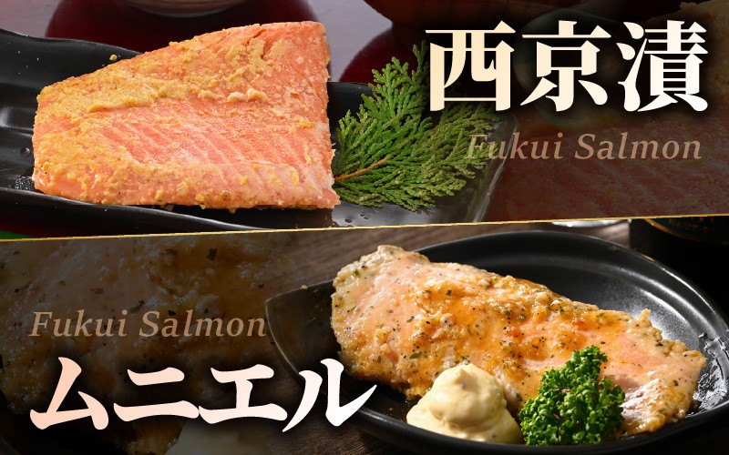 レンジで簡単！ふくいサーモンの西京漬（真空冷凍）100g× 6パック + お任せ2パック！ [A-6240]