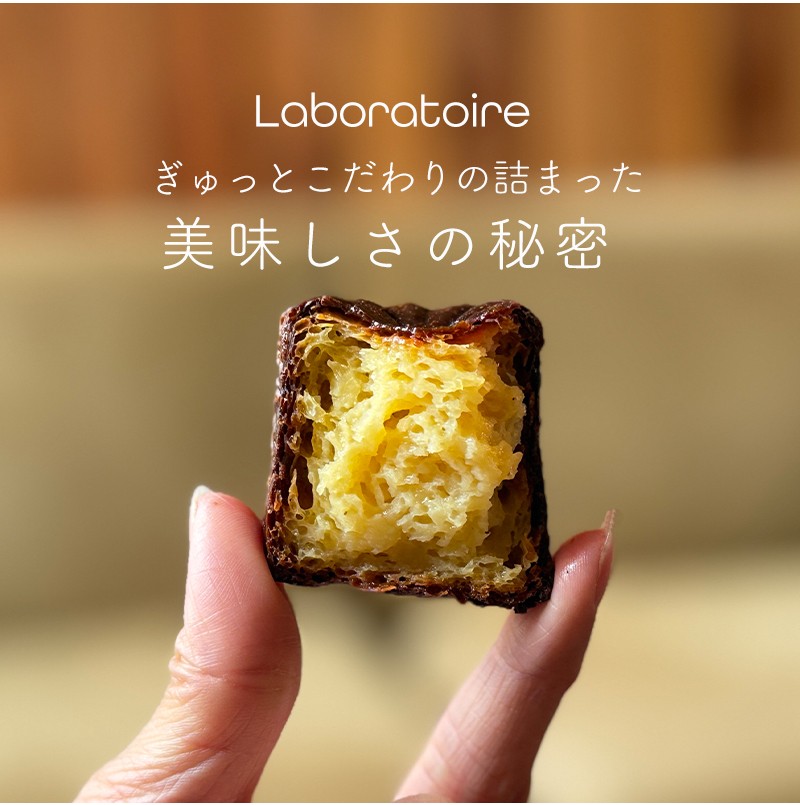 カヌレ 12個 プレーン 個包装 小分け 冷凍 スイーツ 焼き菓子 フランス菓子 洋菓子 伝統菓子 人気 おやつ アフタヌーンティー ご褒美 贅沢 プチ贅沢 ギフト パーティー お取り寄せ グルメ 高評価 京都 舞鶴