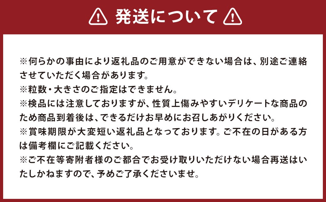 【訳あり】ミニトマト『アイコ』約2kg【2026年7月下旬～8月下旬発送予定】／ミニトマト トマト フルーツトマト 野菜  直送 岩手県 二戸市