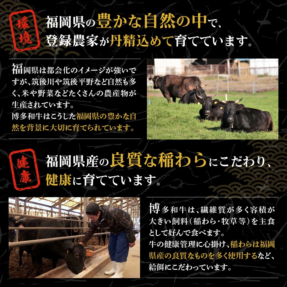 黒毛和牛 (博多和牛)  切り落とし 計1.6kg(400g×4パック)【伊豆丸商店】_HA0209 | 牛肉 肉 国産 黒毛和牛 和牛 切り落とし 博多和牛 小分け 冷凍
