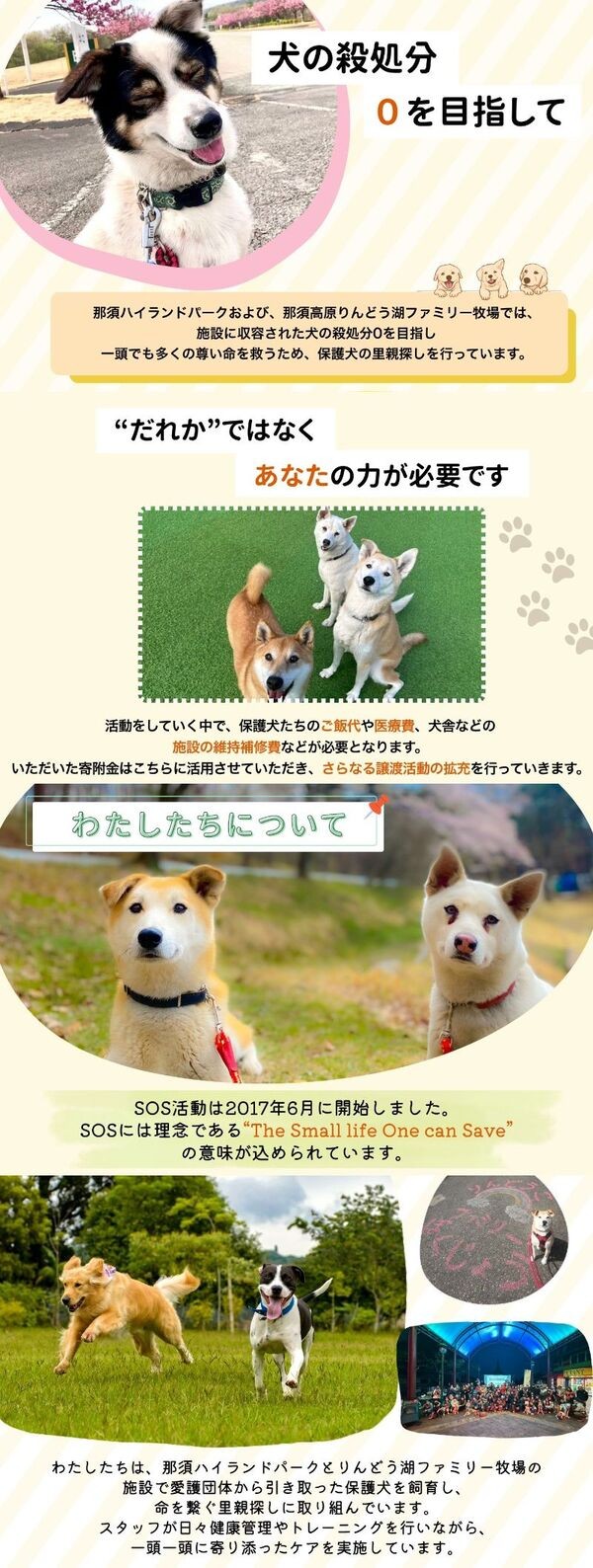 【ブラック】【活動応援】那須ハイ＆りんどう湖　SOS保護犬活動　オリジナルトートバッグ〔P-355〕| 保護犬 トート バッグ 日用品 雑貨  支援 動物愛護 応援 地域応援 愛犬 愛犬家 動物 ペット 社会貢献 保護活動 那須 栃木県 那須町