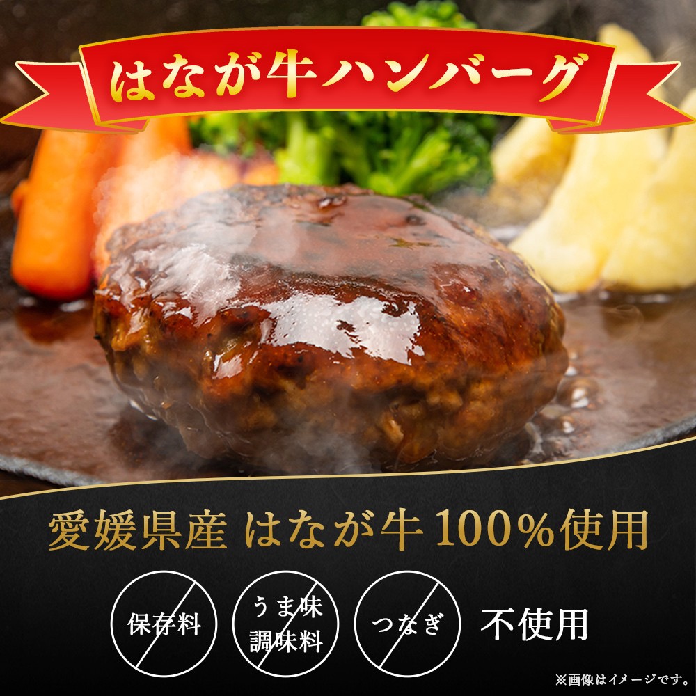 ＜熟成肉 はなが牛ハンバーグ 6個（1個150g）6回定期便＞ 肉 お肉 牛肉 牛 ビーフ 牛100％ 肉加工品 お惣菜 洋食 おかず 弁当 ランチ ディナー 国産 小分け 個包装 簡単調理 特産品 ゆうぼく 愛媛県 西予市【冷凍】『2か月以内に第1回目を出荷予定』