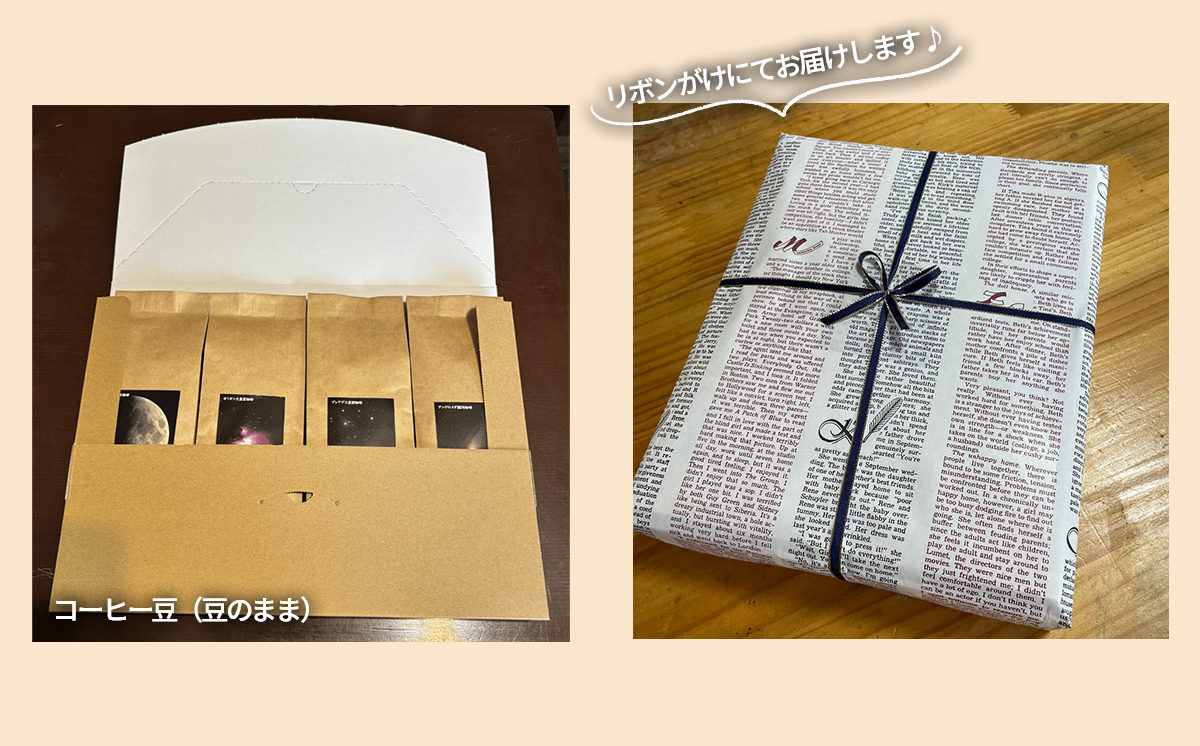 コーヒー豆 星空珈琲（ 豆のまま ）100g × 4種 計400g もっくん珈琲 │ コーヒー 珈琲 粉 coffee 自家焙煎 スペシャルティコーヒー ギフト 茨城県 つくば市