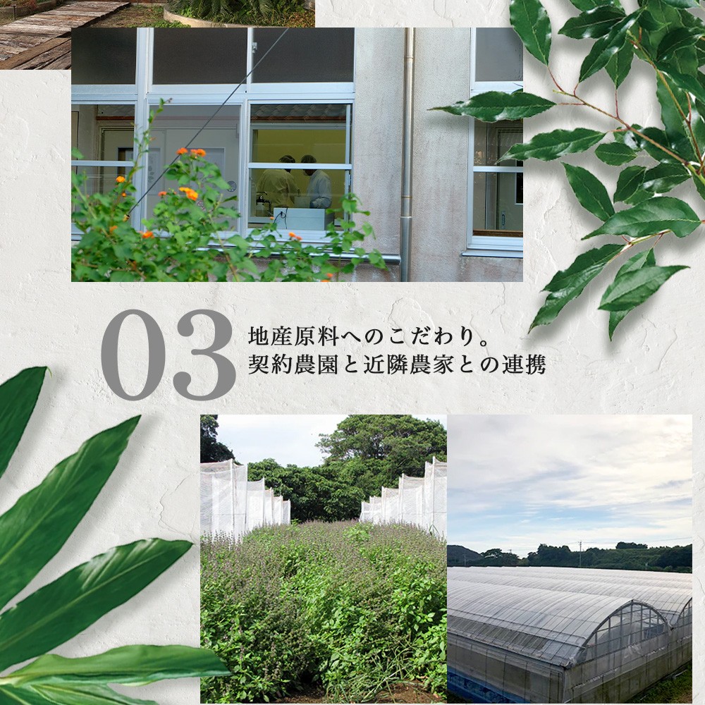 【100％自然由来】オイル美容''特別''3点セット BF-531 │化粧品 化粧水 化粧直し 美容液 ローション オイル 乳液 フェイス 顔 スキンケア 肌ケア ボディケア 乾燥肌 敏感肌 肌荒れ 保湿 潤い うるおい ハリ 弾力 ボタニカノン BOTANICANON ケミカルフリー 鹿児島県 南大隅町 ボタニカルファクトリー 