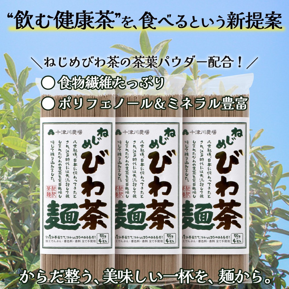 九州産 ねじめびわ茶麺 4束入3袋 セット E7518 | 麺 めん 乾麺 和風 洋風 中華風 びわ茶 ラー麦 コシ のどごし 温麺 冷麺 鹿児島県 南大隅町 十津川農場
