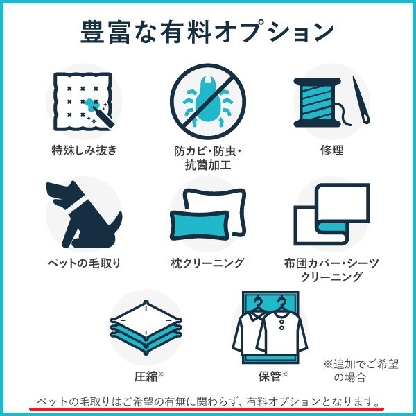 布団丸洗いクリーニング(2点パック) 最長10ヶ月の保管サービス付き 掛布団クリーニング 宅配クリーニング 大和屋 新潟県 糸魚川市 送料無料