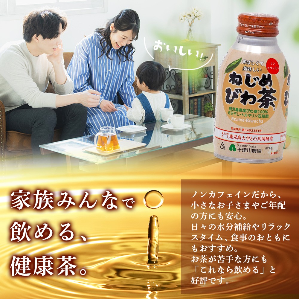 鹿児島県産 ねじめびわ茶 ボトル缶 1ケース（290ml×24本入り）ノンカフェイン TO-403 | 国産 お茶 健康茶 カロリーゼロ 無香料 無着色 ポリフェノール さわやか 甘み 香ばしい おいしい びわの葉 産地直送 鹿児島県 南大隅町 十津川農場 