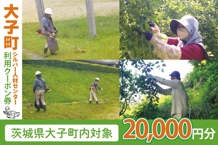 【大子町内限定】大子町シルバー人材センター 利用クーポン券 20,000円分|利用券 チケット 補助 代行 庭 空き地 草刈り 除草 お墓 清掃 家 片付け 窓拭き 茨城県(CR004)
