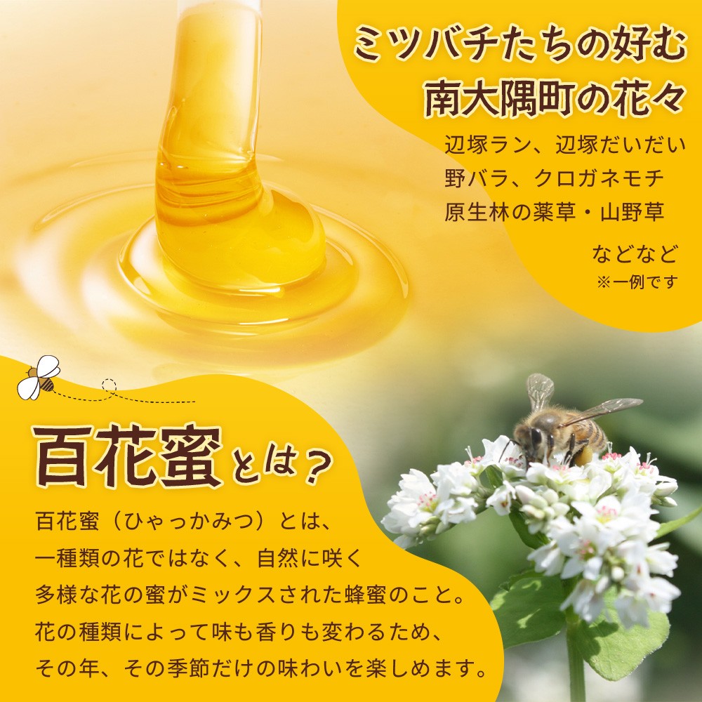 蜂蜜 百花はちみつ 580g《数量限定》【日本みつばち】 TU-001 | 国産 はちみつ ハチミツ 蜂蜜 ハニー 百花蜜 百花はちみつ 天然 非加熱 産地直送 鹿児島県 南大隅町 椿山ファーム
