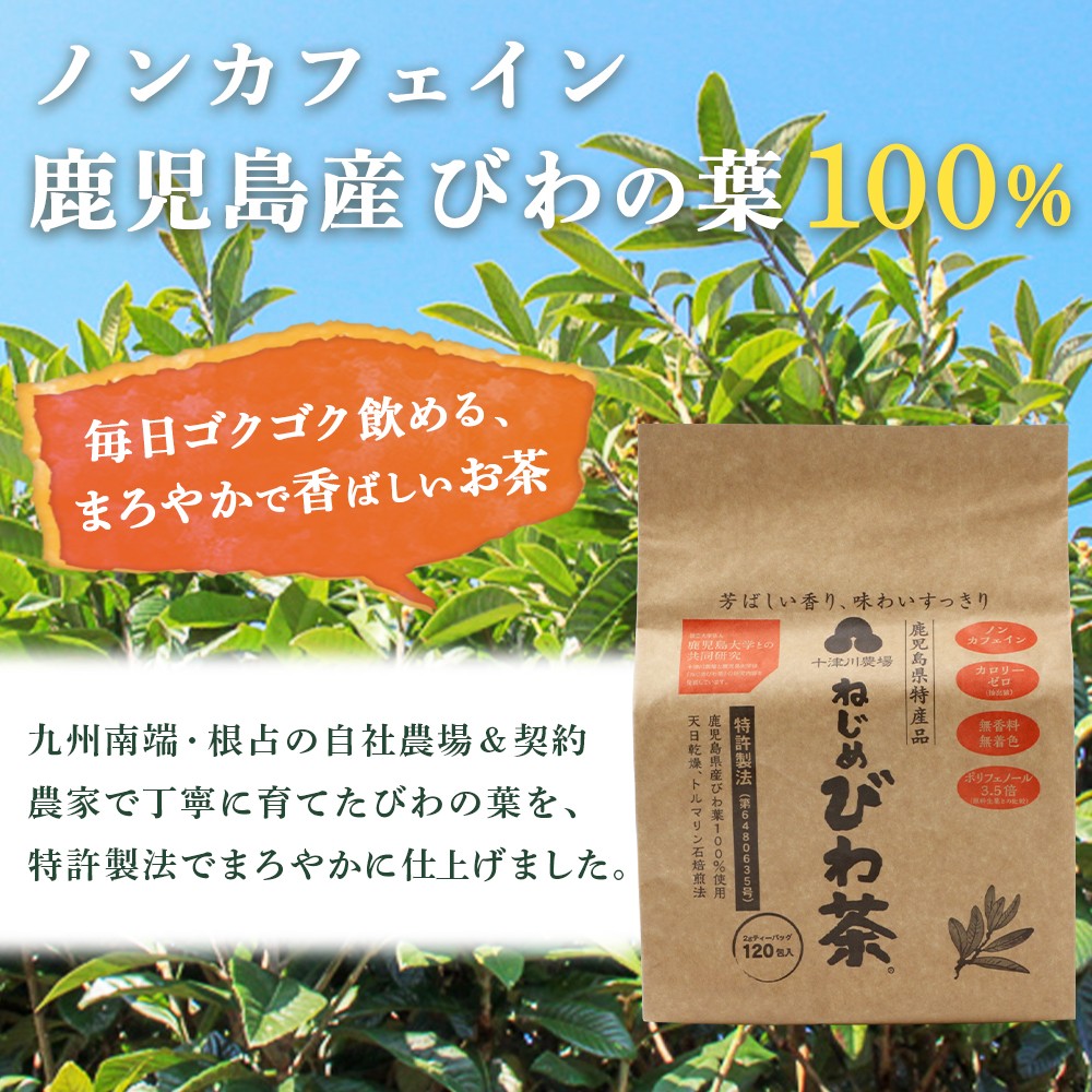 鹿児島県産 ねじめびわ茶 ティーバック 120包 スティックゼリー30本入 セット ノンカフェイン E7516 | 国産 お茶 健康茶 ポリフェノール 無香料 無着色 さわやか 甘み 香ばしい おいしい びわの葉 トルマリン石焙煎 産地直送 鹿児島県 南大隅町 十津川農場