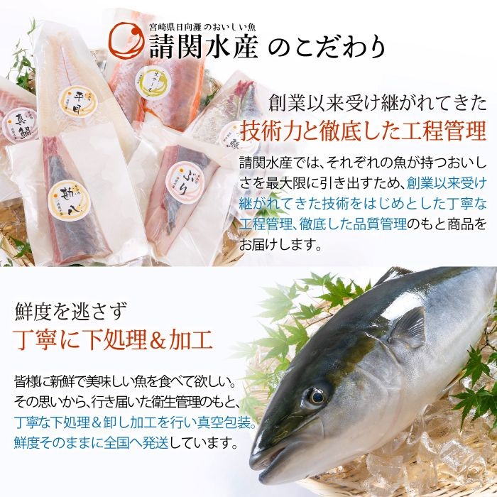 【北海道・離島配送不可】新鮮！真鯛としまあじのお刺身セット(合計約800g～1kg)お刺し身 魚介 海鮮 まだい マダイ シマアジ 詰め合わせ 詰合せ 真空パック【UZ-07】【請関水産】