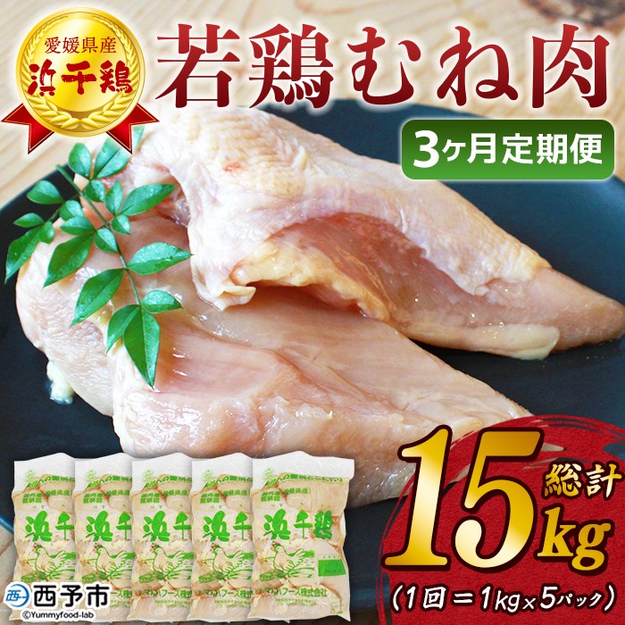 <愛媛県産 銘柄鶏 浜千鶏(はまちどり)若鶏むね肉 5kg(1kg×5)3ヶ月定期便> 国産 鶏肉 大容量 業務用 家庭用 鳥肉 とり チキン ムネ 精肉 塊 ブロック 定期便 産地直送 愛媛県 西予市【冷凍】
