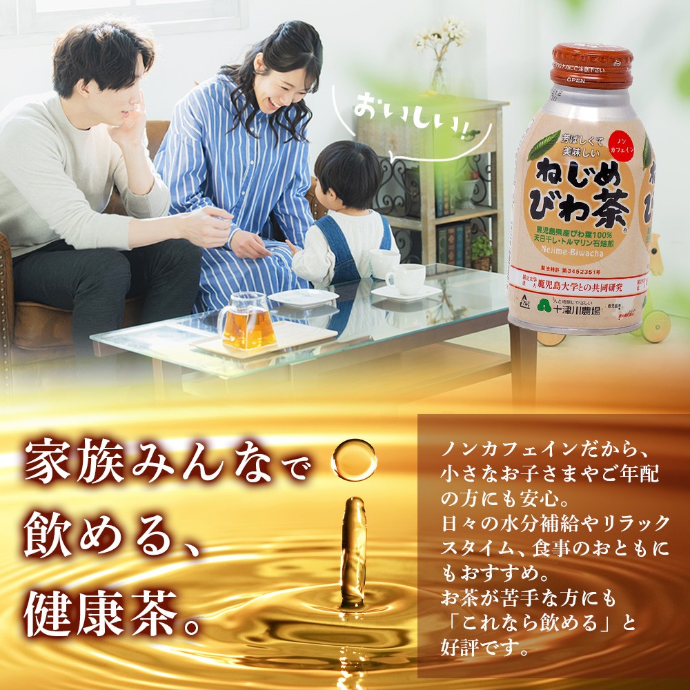 【定期便 12ヶ月全6回】 鹿児島県産 ねじめびわ茶 ボトル缶 12ケース ≪ 1回あたり48本 (24本入り×2箱) ≫ 2か月おきにお届け ノンカフェイン E7525 | 国産 お茶 健康茶 カロリーゼロ 無香料 無着色 ポリフェノール さわやか 甘み 香ばしい おいしい びわの葉 産地直送 鹿児島県 南大隅町 十津川農場 