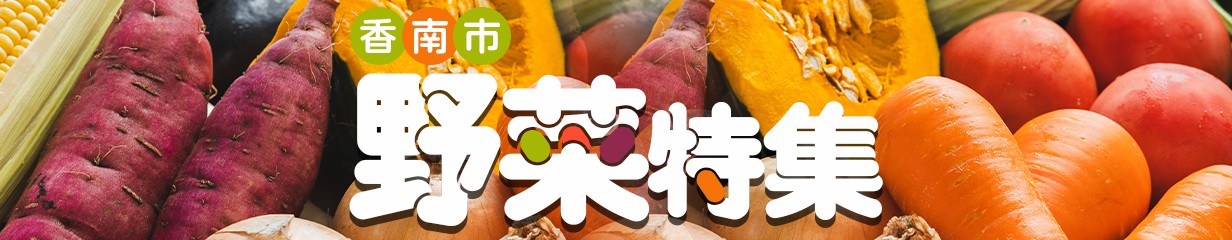 【2027年2月発送】せとか 8~14玉 秀品・丸秀品混合 果物 果実 くだもの フルーツ ミカン 蜜柑 みかん 柑橘類 先行予約受付中 期間限定 季節限定 贈答 贈り物 贈答用 プレゼント 高知県 香南市 せとか ku-0057