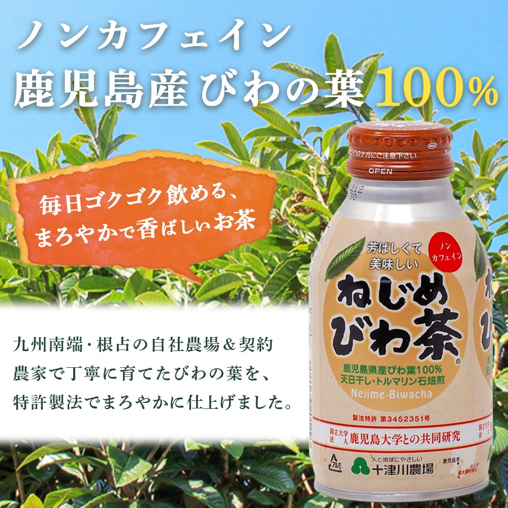 鹿児島県産 ねじめびわ茶 ボトル缶 1ケース（290ml×24本入り）ノンカフェイン TO-403 | 国産 お茶 健康茶 カロリーゼロ 無香料 無着色 ポリフェノール さわやか 甘み 香ばしい おいしい びわの葉 産地直送 鹿児島県 南大隅町 十津川農場 