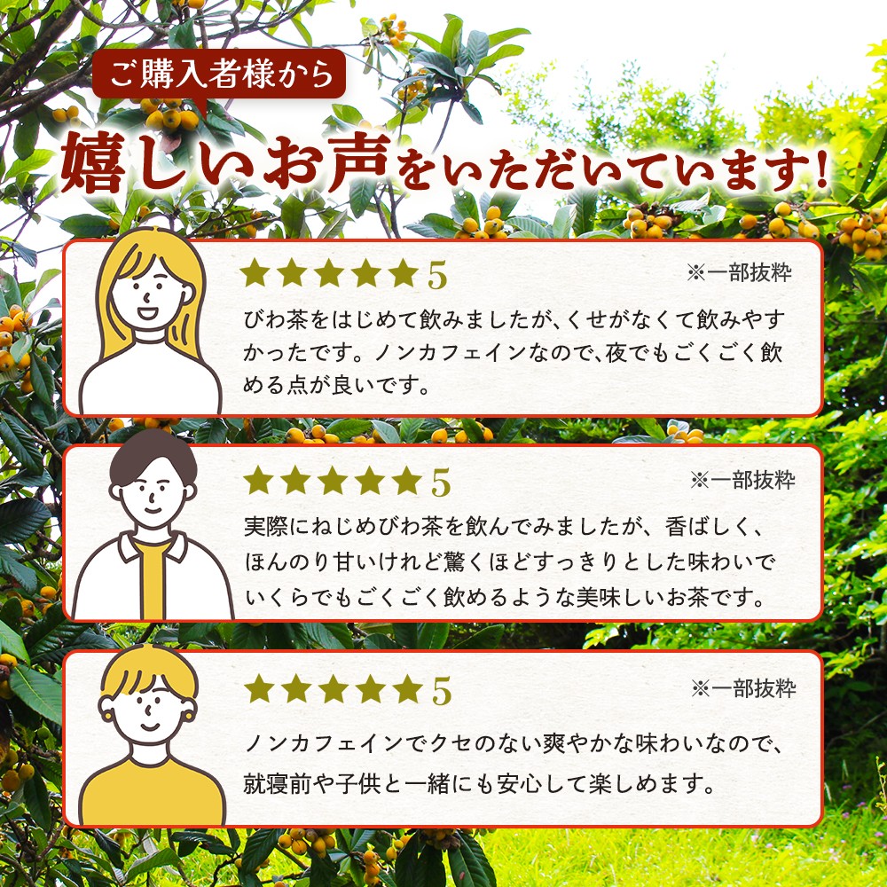 鹿児島県産 ねじめびわ茶 ボトル缶 2ケース 24本入り×2ケース ノンカフェイン TO-407 | 国産 お茶 健康茶 ポリフェノール 無香料 無着色 さわやか 甘み 香ばしい おいしい びわの葉 トルマリン石焙煎 産地直送 鹿児島県 南大隅町 十津川農場