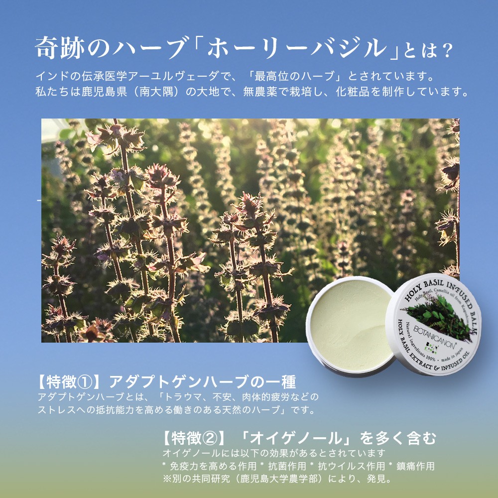 【100％自然由来】インフューズドバーム（25g×1個） BF-518 │美容 化粧品 ホーリーバジル ハーブ 抗菌 抗ウイルス 乾燥肌 敏感肌 肌荒れ 潤い ハリ 弾力 スキンケア ハンドケア ハンドクリーム リップケア リップクリーム ヘアケア ボタニカノン BOTANICANON ケミカルフリー 鹿児島県 南大隅町 ボタニカルファクトリー
