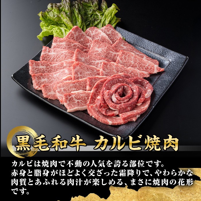 isa690 鹿児島県(カミチクファーム 大口農場)産 黒毛和牛カルビ焼肉(計400g・200g×2パック) 黒毛和牛 カルビ 焼肉 和牛 国産牛 高級肉 A5 ランク 雌牛 霜降り 旨味 口どけ 牛肉 焼肉用 BBQ バーベキュー アウトドア 冷凍 小分け 【お肉の直売所 伊佐店】