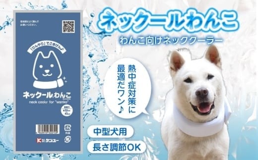 ネックールわんこ（2個セット） 犬用 ネッククーラー ひんやり 熱中症対策 冷却 冷感 冷たさ持続 愛犬 ひんやりグッズ 首 わんこ ペット 軽い 繰り返し使える 人気 おすすめ ギフト 贈り物 プレゼント 犬 ネッククーラー ひんやり 熱中症対策 冷却 冷感 愛犬 ペット グッズ 贈り物 ギフト プレゼント 人気 おすすめ 広島県福山市/株式会社ケンユー [BACL008]