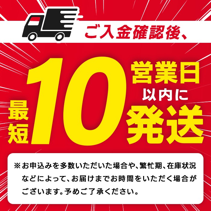 <ファンケル 搾りたてケール青汁 3000g (100g×15袋)×2箱> 濃縮野菜 国産 あおじる 化学農薬不使用 飲料 ドリンク 小分け FANCL ファンケル 産地直送 グリーンヒル 愛媛県 西予市【冷凍】