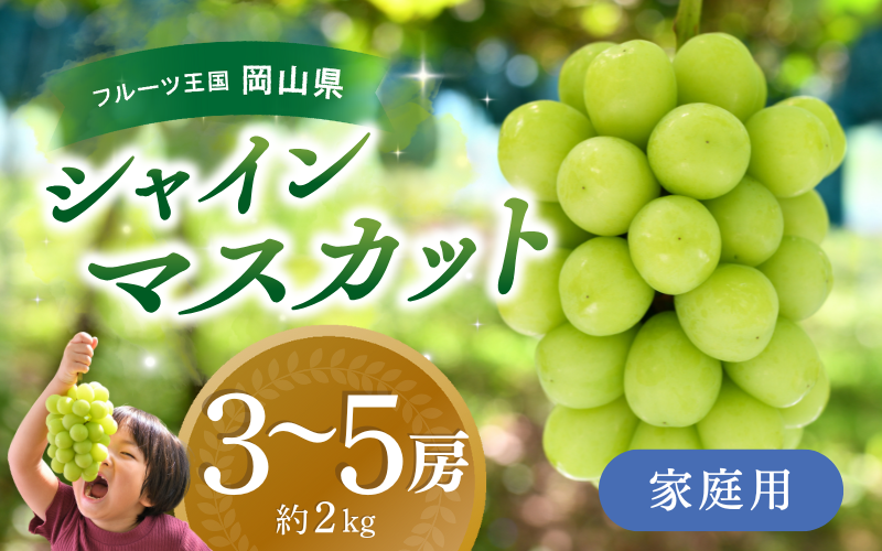 【2026年先行予約】 ぶどう 岡山 花笑み農園『シャインマスカット』 家庭用 約2kg(3~5房) 岡山 真庭 シャインマスカット 家庭用 真庭市 数量限定 9月下旬~ 受付順に発送予定 【hana061-02】