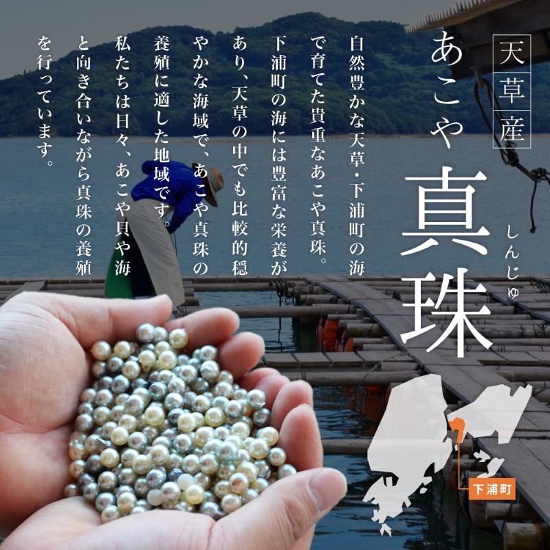 S101-354_真珠科学研究所 オーロラ花珠 鑑別書付 9mm - 9.5mm あこや真珠 イヤリング ホワイトピンク 【B:シリコン大 K14WG(ホワイトゴールド)※直結】