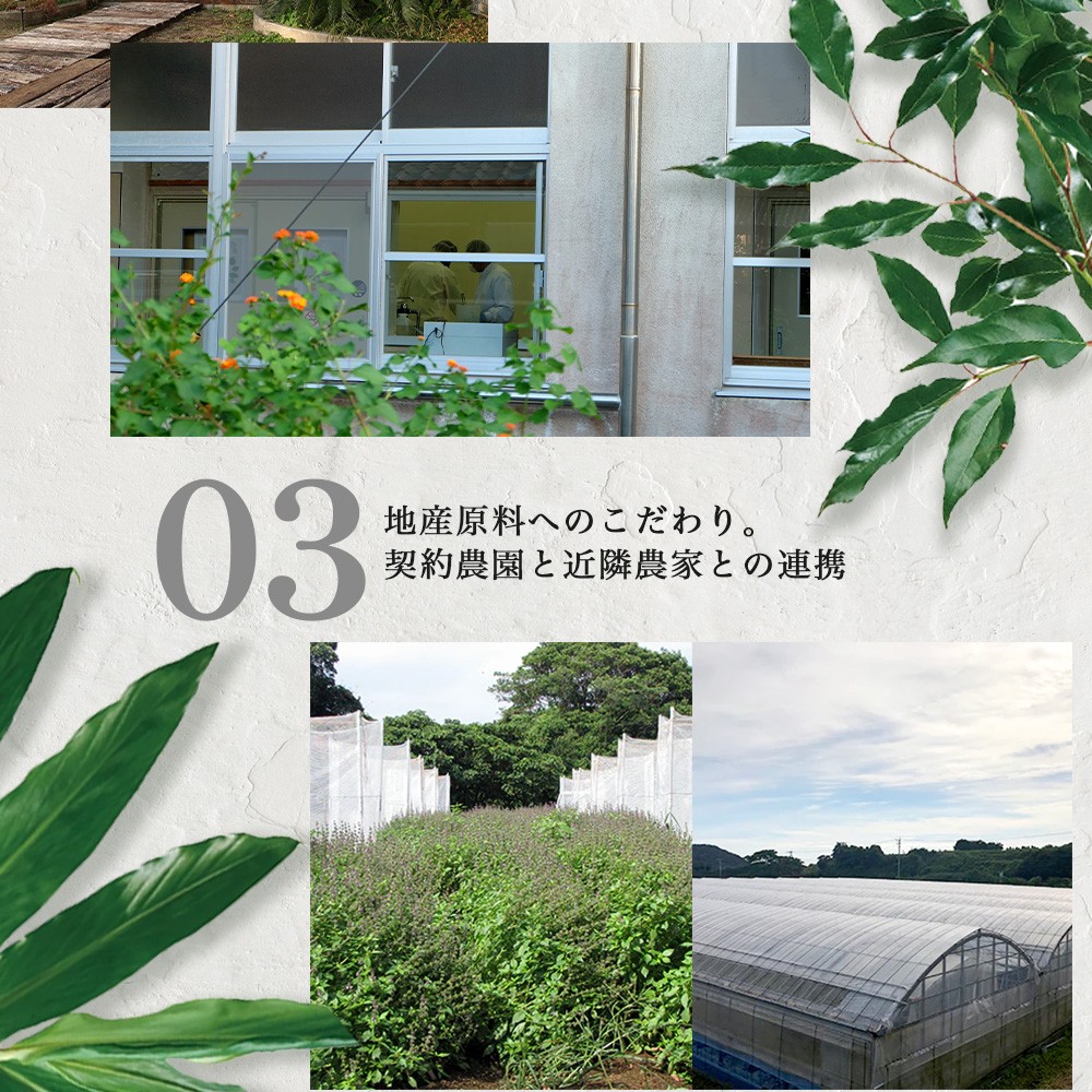 【100％自然由来】パッションフルーツ ローション（100ml×1本） BF-529 │美容 ローション 化粧水 化粧品 化粧直し 日焼けケア 紫外線対策 パッションフルーツ フェイス 顔 スキンケア 肌ケア ボディケア 乾燥肌 敏感肌 肌荒れ 保湿 潤い うるおい ハリ 弾力 ボタニカノン BOTANICANON ケミカルフリー 鹿児島県 南大隅町 ボタニカルファクトリー