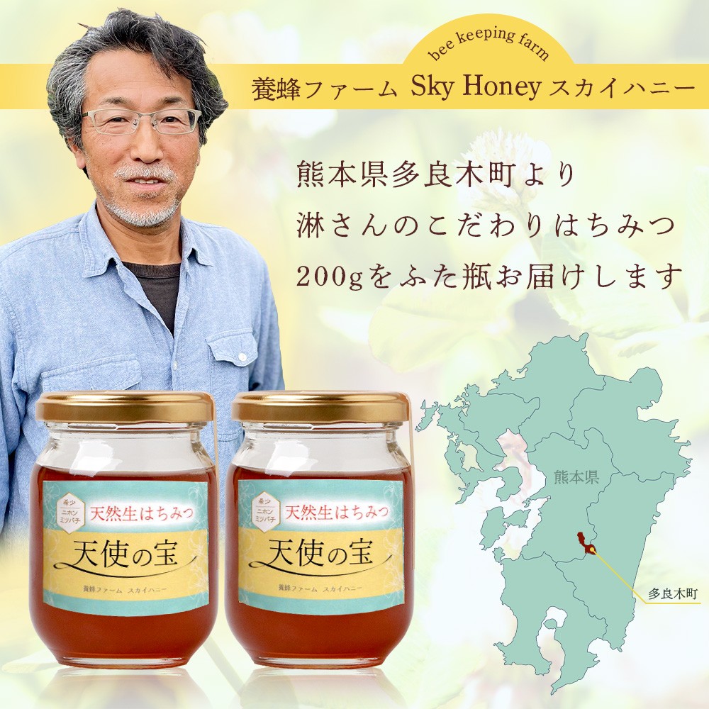 日本みつばち 蜂蜜「天使の宝」2個 セット 【 希少 ニホンミツバチ 100％ はちみつ 高純度 高濃度 垂れ蜜 ハチミツ ジャム 無添加 】094-0003