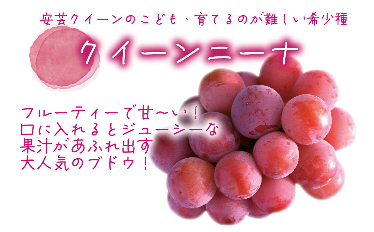 【2026年先行予約】岡山 花笑み農園の『シャインマスカット＆クイーンニーナ』 1㎏（2房） 【hana066-02】