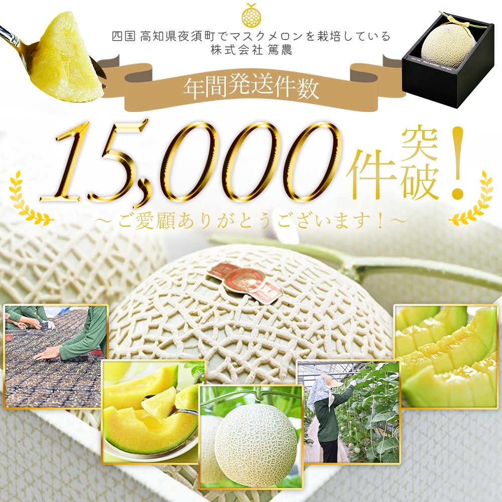 【4月5月発送中】＜家庭用メロン＞マスクメロン 3玉 メロン ますくめろん めろん 3玉 果物 くだもの フルーツ 甘い デザート 贈答 ギフト プレゼント 産直 産地直送 高知県 青肉 訳あり 一果相伝 青肉 フルーツ メロン 果物 1万円以上 10000円以上 メロン tn-0029