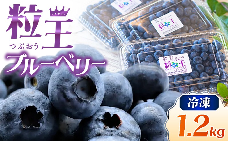 【先行予約】141-3 粒王 冷凍ブルーベリー 1.2kg(400g×3P) KN030-002