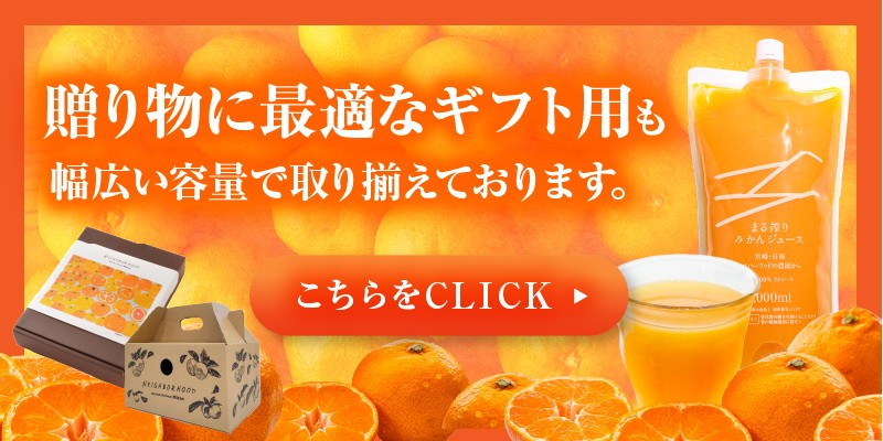 宮崎県産 まる搾りみかんジュース 500ml×3本_M249-009-01