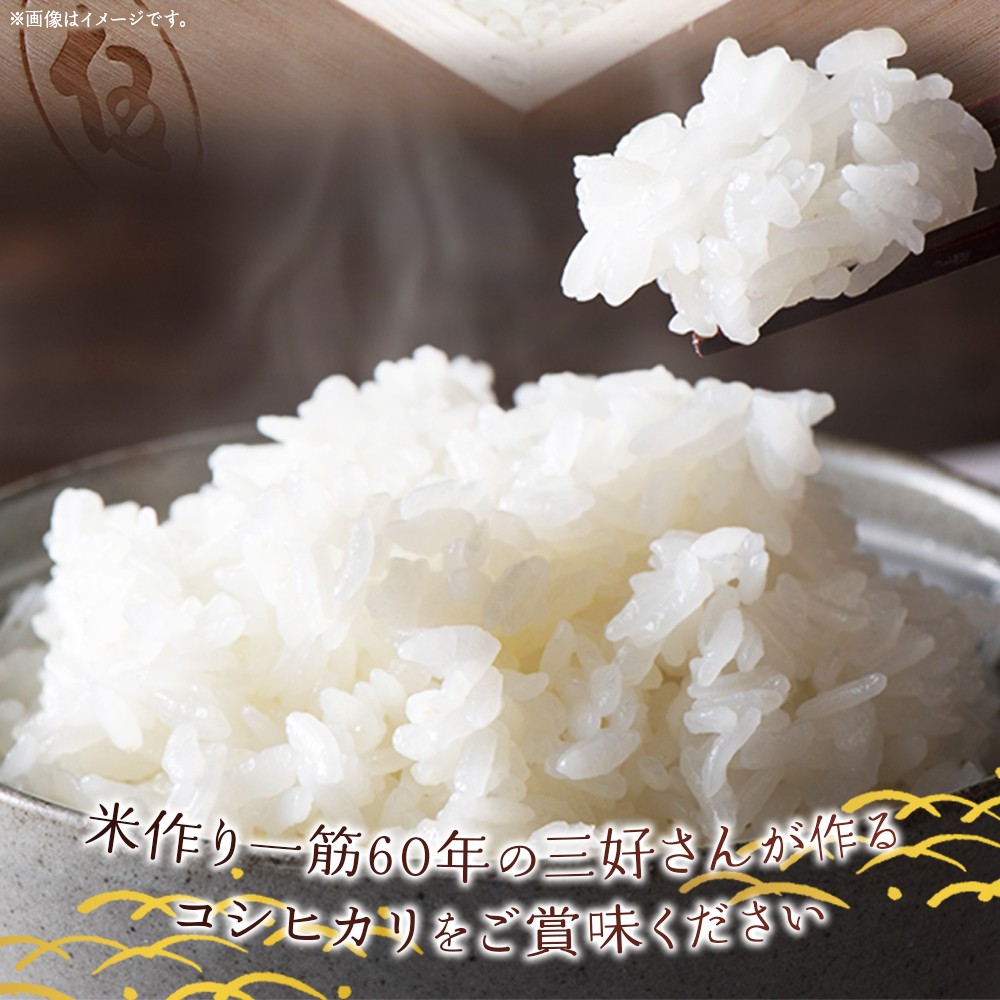 <令和7年産 西予市宇和町産 コシヒカリ 約5kg> お米 コメ こめ 白米 精米 単一原料米 ご飯 白飯 ごはん 穀物 コシヒカリ こしひかり 朝食 特産品 愛媛県産 西予市産 宇和町産 三好フク【常温】