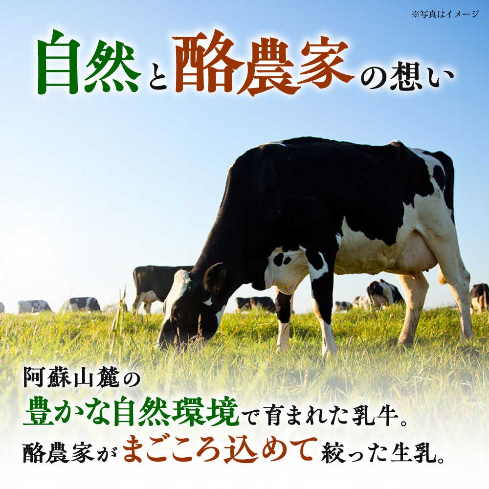 大阿蘇牛乳 1000ml (6本入り) 【合同会社 たべたせいか】 熊本県産 熊本 九州 生乳100% ミルク カルシウム 国産 牛乳 常温  [AYCB009]