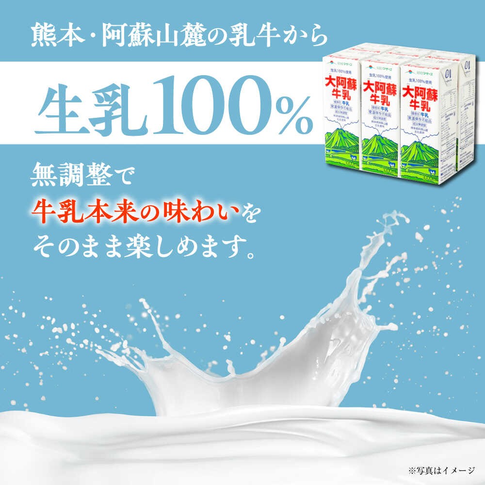 大阿蘇牛乳 1000ml (6本入り) 【合同会社 たべたせいか】 熊本県産 熊本 九州 生乳100% ミルク カルシウム 国産 牛乳 常温  [AYCB009]