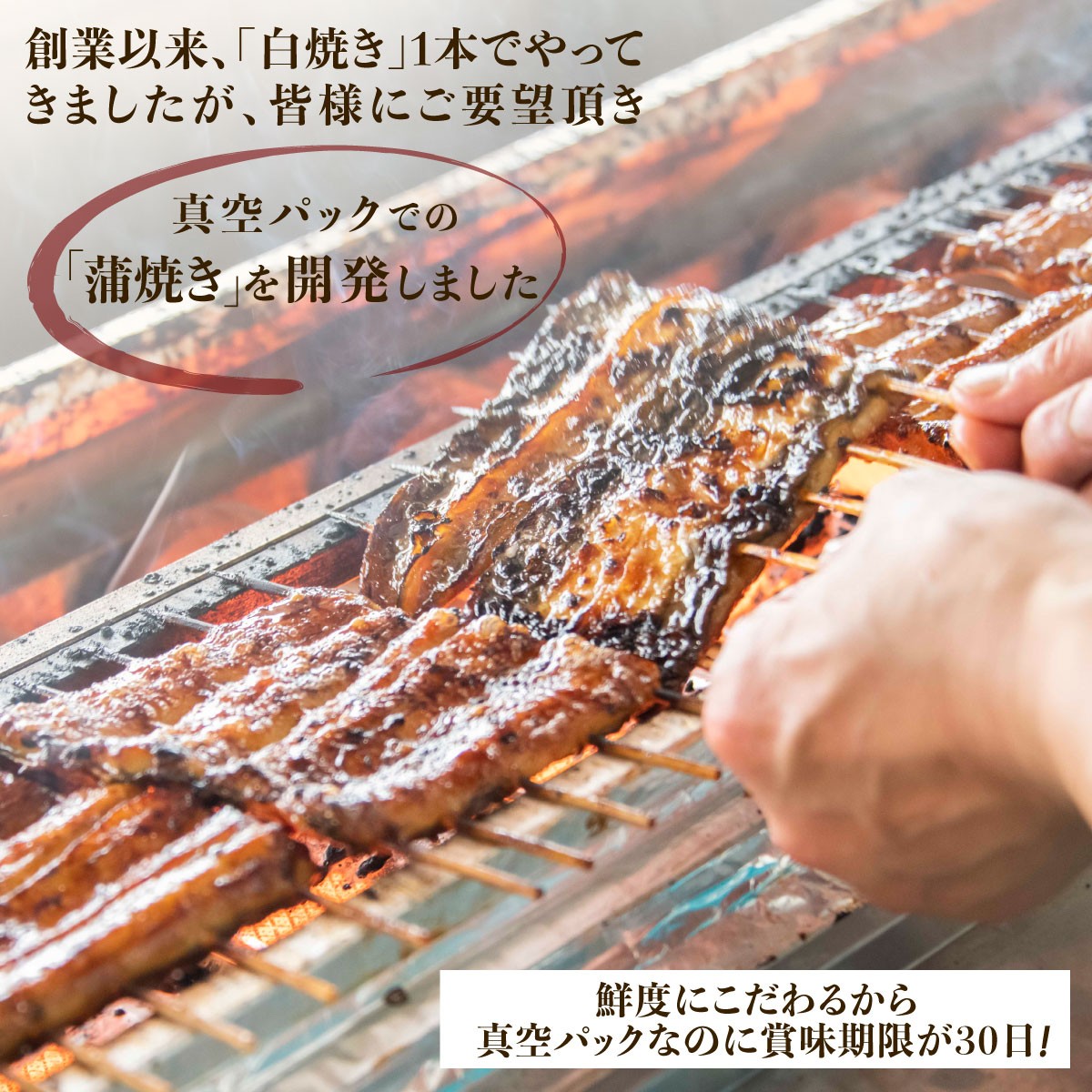 【紅白味わいセット】国産うなぎの白焼き大1匹・蒲焼き中2串《戸村川魚店》 / KTRY002 うなぎ 国産うなぎ 鰻 国産鰻 ウナギ 国産ウナギ 白焼 白焼き 蒲焼き 蒲焼 食べ比べ セット