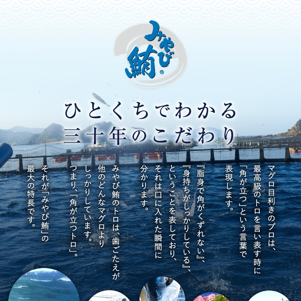 【訳あり】みやび鮪 切り落とし 端っこちゃん 計約600g(約100g×6) 6~7人前 / マグロ 鮪 トロ 本鮪 本マグロ 本まぐろ 冷凍まぐろ 冷凍鮪 まぐろ 赤身 トロ 鮪赤身 鮪トロ 国産鮪 国産まぐろ 切落し きりおとし 魚 海鮮 刺身 刺し身 冷凍 長崎 長崎県 長崎市