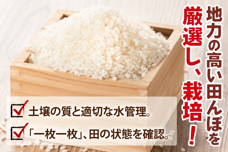 【3ヶ月定期便】令和7年産 茨城県産コシヒカリ 精米 2kg| お米 米 ごはん 阿見町 茨城県 茨城県産 茨城県産米(85-22)