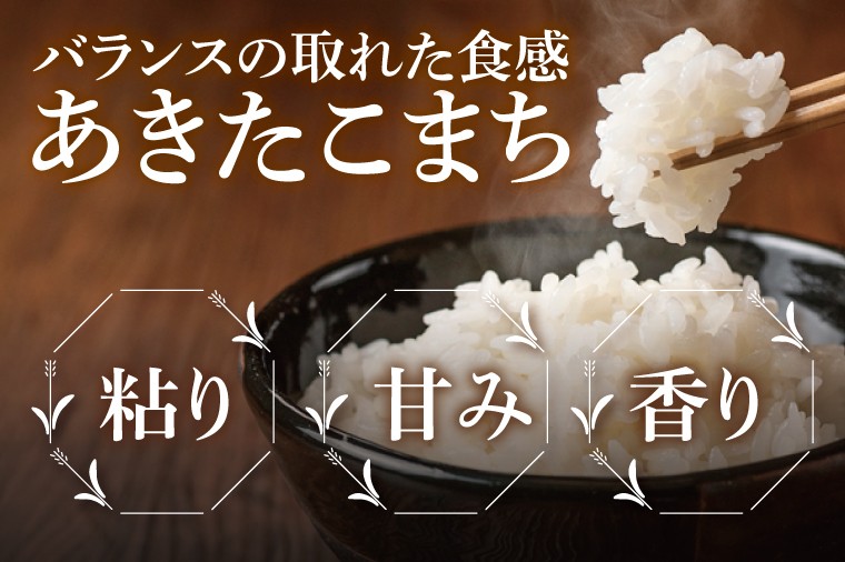 令和7年産 茨城県産あきたこまち 精米 2kg| お米 米 ごはん 阿見町 茨城県 茨城県産 茨城県産米(85-28)