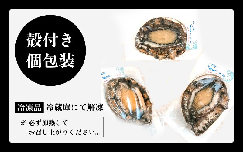 【天然・冷凍】日本海 若狭湾の黒アワビ 約700g（2～3個）【加熱用】入手困難 日本海若狭湾 アワビ あわび 鮑 クロアワビ 黒鮑 貝 魚介 海鮮 BBQ バター焼き 個包装 [m17-f003]