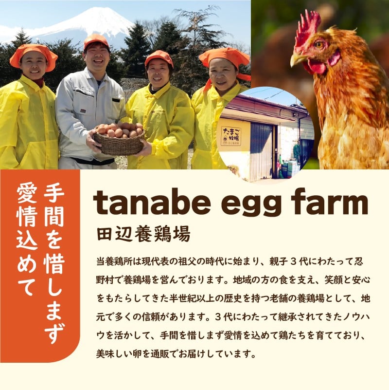 富士山の麓で育った産地直送 ”忍野の卵”※卵25個+割れ保証5個 計30個